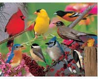Puzzle Backyard Birds