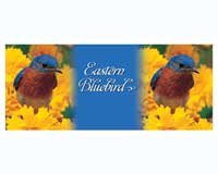 Mug Black Eastern Bluebird