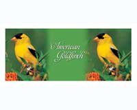 Mug Black American Goldfinch