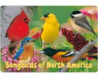 Kids Puzzle Songbirds