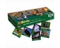 Memory Game BirdsNorthAmerica