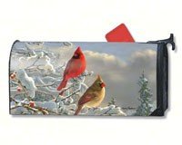 Winter Cardinals Mailwrap