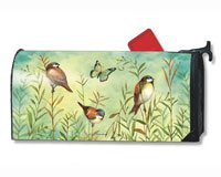 Sanctuary Sparrows MailWrap