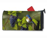 Vineyard Bluebird MailWrap