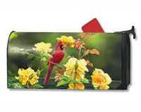 Rose Garden Cardinal MailWrap