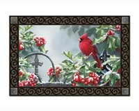 Hollyberry Cardinal MatMate