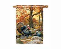 Turkeys Standard Flag