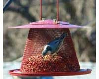 Red Cardinal Feeder