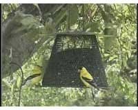 No/No Feeder w/Roof Ext. Grn.