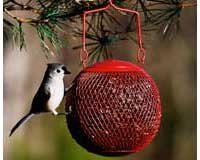 Red Seed Ball