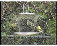 Tray Feeder