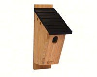 Bamboo Bluebird Peterson House