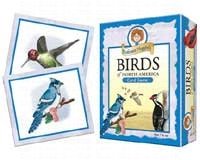 Prof Noggins Birds of NA