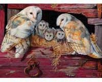 Barn Owls Puzzle 1000 piece Puzzle