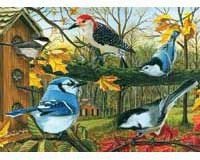 Blue Jay and Friends Puzzle 1000 piece Puzzle