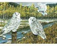 Snow Owls Gathering Puzzle, 1000 piece Puzzle