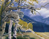 Great Grey Owl 1000 piece Puzzle