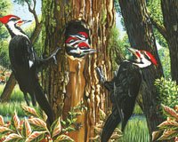 Pileated Woodpeckers 1000 piece Puzzle