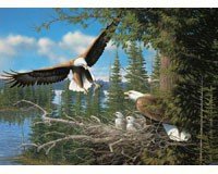 Nesting Eagles 1000 piece Puzzle