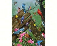 Birds of the Forest 1000 pcs