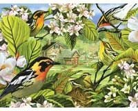 Blackburnian Warblers Puzzle 500 piece Puzzle