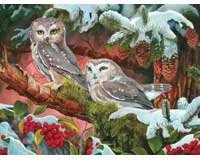 Northern Saw-Whets 500 piece Puzzle