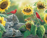 Sunflower Buffet 500 piece Puzzle