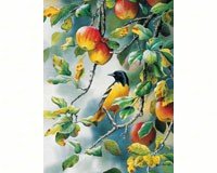 Northern Oriole 500 piece Puzzle