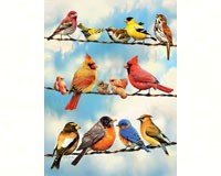 Birds on a Wire 500 pcs