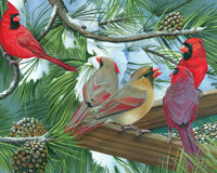 Cardinals at the Feeder 375 piece Puzzle