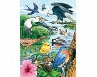 North American Birds Tray Puzzle 35 piece Puzzle