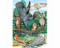 North American Owls Tray Puzzle 35 piece Puzzle