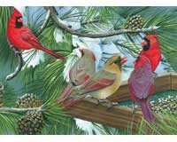 Cardinal Gathering 1000 piece Puzzle