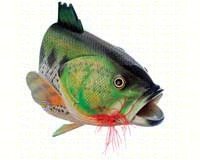 Large Mouth Bass Birdhouse
