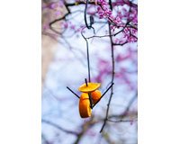 Oriole Feeder â€“ Fruit Stake â€“ Black