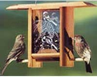 Chickadee Pine Cone Teahouse