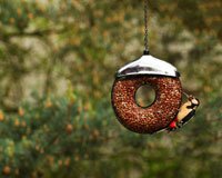Doughnut Peanut Feeder