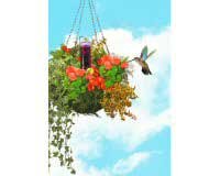 Hummingbird Feeder â€“ Basket Planter  â€“ 3 Oz.