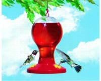 Hummingbird Feeder â€“Bulb  â€“ 16 Oz.