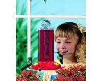Window Feeder 8 oz