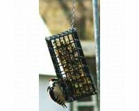 Wire Feeder for 16 oz Finch Cake