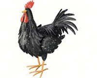 Black Rooster Large