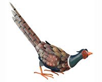 Pheasant Dï¿½cor Down