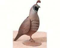 Quail Decor Male