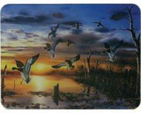 Ducks Tempered Glass Cutting Board