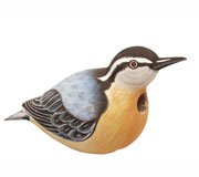 Nuthatch Birdhouse
