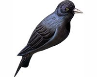 Purple Martin Birdhouse