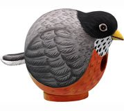 Robin "Gord-O" Birdhouse