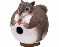 Squirrel "Gord-O" Birdhouse