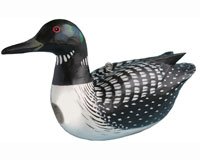 Birdhouse Loon